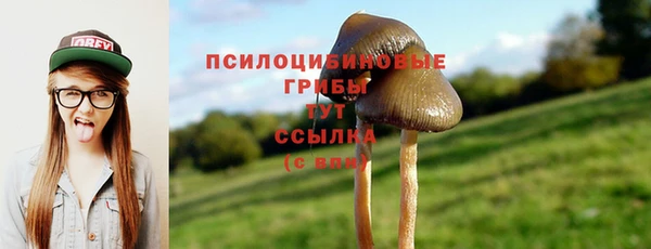 кокаин премиум Алзамай